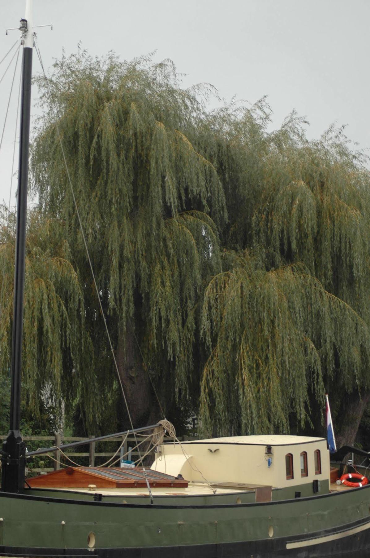 Hotel Barge Waternimf Ely Luaran gambar